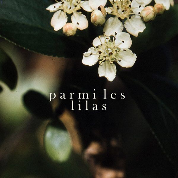 pochette-parmi-les-lilas
